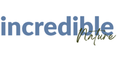 Logo: incredible Nature